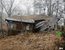 Abandoned Forest Escape