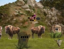 脱出ゲーム Buffalo Mountain Escape