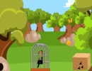 Woodpecker Escape