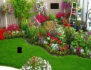 Beautiful Flower Garden