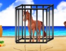 脱出ゲーム Beach Horse Escape