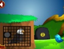 脱出ゲーム Rescue The Wild Eagle