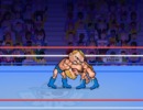 1vs1で戦うプロレスゲーム レッスル ブロス