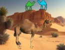 脱出ゲーム Camel’s Release Desert Discovery