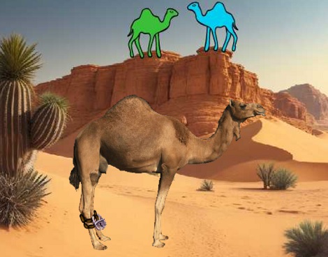 Camel’s Release Desert Discovery