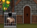 脱出ゲーム Save The Grizzly Bear