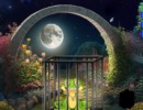 脱出ゲーム Moonlit Ribbit Rescue