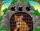 Jungle Jailbreak