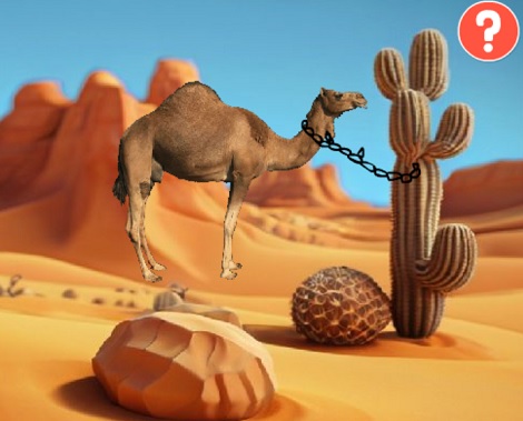 Freeing The Trapped Camel
