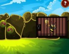 脱出ゲーム Rescue The Honey Bee 2