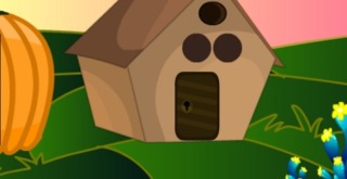 Thanksgiving Turkey Rescue