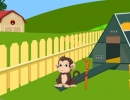 Petty Monkey Rescue
