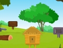 Escape With Bird Eggs