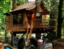 Treasure Tree House Escape