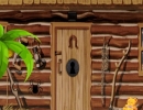 Bear House Escape