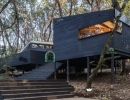 Architecture Forest House Rescue