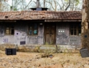 Desolate Forest House Escape