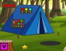 Find The Map From Jungle