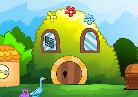 Duck Family Rescue 3