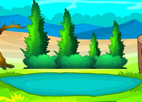 Pond Forest Escape