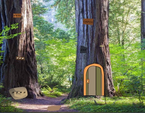 GFG Forest Tree Escape