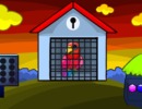 Parrot Escape