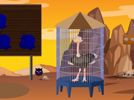 Indigent Ostrich Rescue