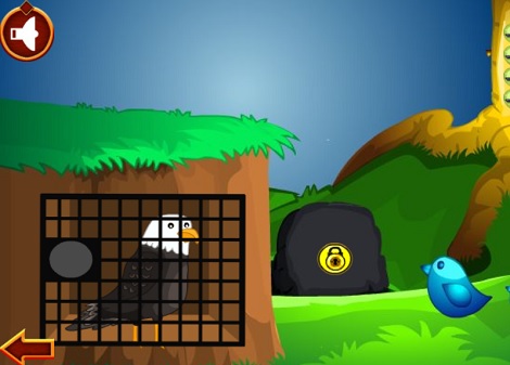 Rescue The Wild Eagle