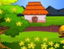 Rescue From The Flower Land