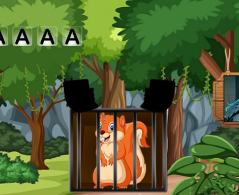 Rescue The Cute Squirrel