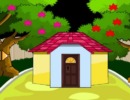 Rescue The Pony
