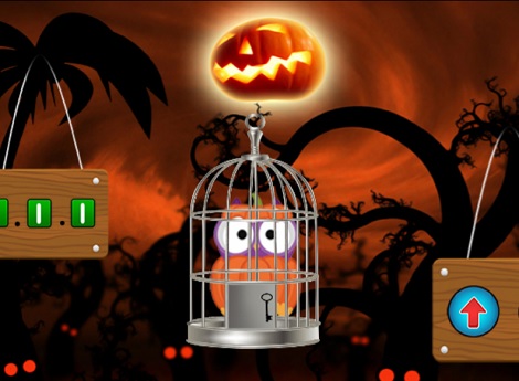 Halloween Owl Rescue