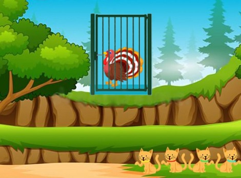 Rescue The Turkey
