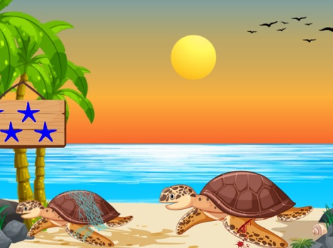 Charming Turtle Brothers Rescue