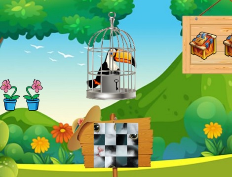Toucan Escape 1