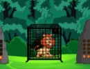 Forest Lion Rescue