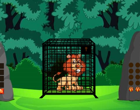 Forest Lion Rescue