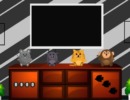 Pets House Escape