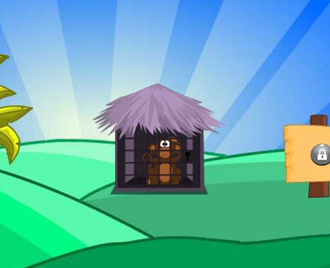 Village Monkey Rescue