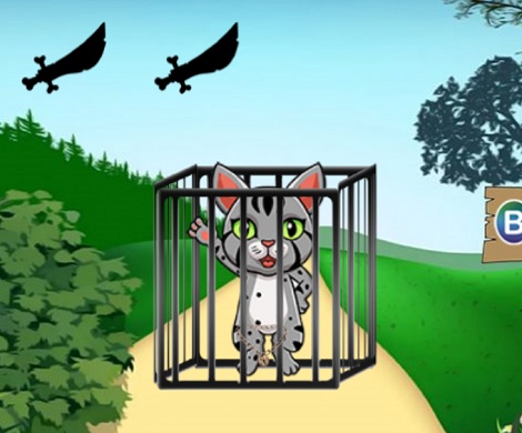Rescue The Grey Cat