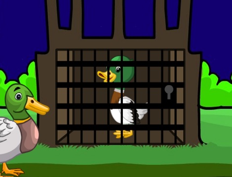 Baby Duck Escape