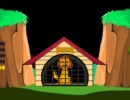 Brown Dog Rescue 1