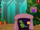 Parrot Rescue 1