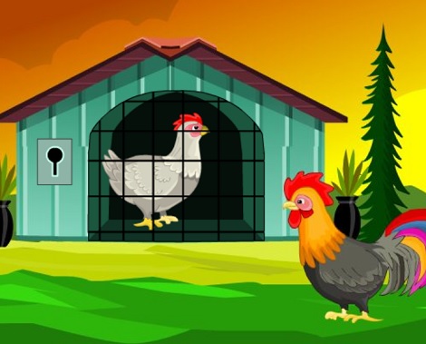 White Leghorns Escape