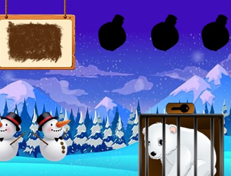The Snow Bear
