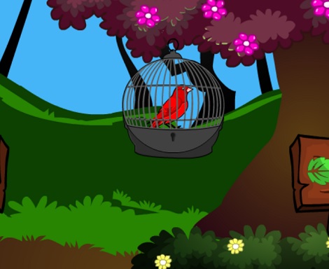 Trapped Red Bird Rescue