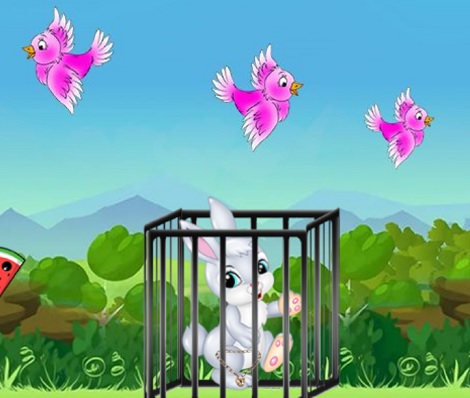The Tale Of The White Rabbit