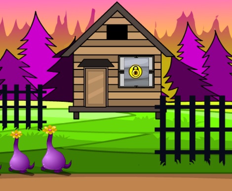 Yellow Bird Rescue
