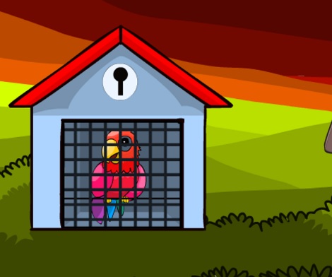 Feathered Freedom: A Bird’s Tale