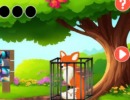 Foxy Freedom Quest